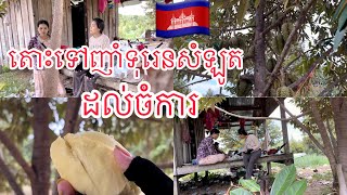 ទៅញាំទុរេនដល់ចំការទុរេនសំឡូត🇰🇭|kunbrsajeen