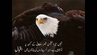 Nahin Tera Nasheman Qasr-e-Sultani Ke Gunbad Par |poetry of allama Iqbal| #iqbaliyat #allamaiqbal