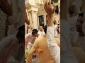 Dancing on hare Krishna kirtan by foreign devotees l iskcon vrindavan 🌺 #shorts #krishna #radhe