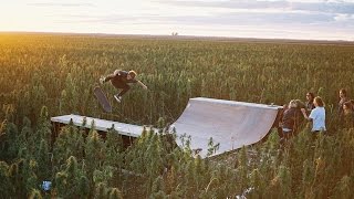 AFENDS HEMP REVOLUTION PART 1: SKATE IN THE HEMP FIELD