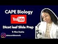 Preparing a microscope slide: Dicotyledonous leaf (CAPE Biology Unit II)