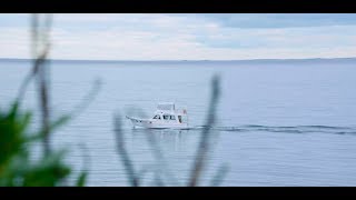 The planning permit process | Bayside City Council