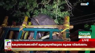 അരിക്കൊമ്പന് ഇനി പെരിയാറിൽ പുതിയ ജീവിതം | Arikomban Relocated To Periyar |