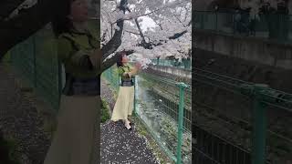 「50代 桜吹雪が美しかった」#50代 #50代を愉しむ #さくら