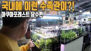 (도사를 만나다) 국내에 이런 수족관이? 어항 하나하나 예쁘게 꾸며진 아쿠아포레스트 담수편! [애니몰로TV]