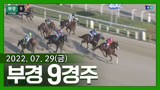 (부산)'22.7.29.9R 600승은 다음 경주로~ 오렌지개라지 시원하게 잡은 캐치더스카이!