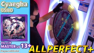 【maimaiプレイ手元動画】Cyaegha　[Master LV13+](でらっくす譜面)【ALLPERFECT+】