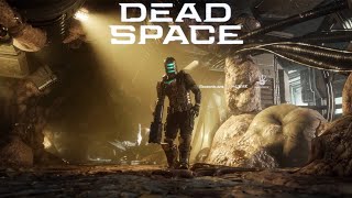 【テスクなので閲覧注意！】Dead Space デットスペース 【ヤバめなホラーゲーム金字塔】