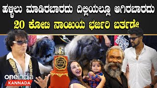 20cr Dog Birthday: 20 ಕೋಟಿ ನಾಯಿಯ ಗ್ರಾಂಡ್ ಬರ್ತಡೇ ಸೆಲೆಬ್ರೇಶನ್ ಫುಲ್ ಜೋರು | Sathish Cadaboms | Oneindia