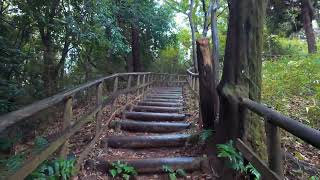 Ikuta Ryokuchi Park on a Rainy Day | 4K