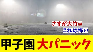 阪神対DeNA　甲子園が大パニック！？【野球情報】【2ch 5ch】【なんJ なんG反応】【野球スレ】