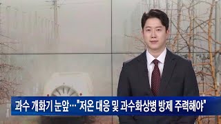 과수 개화기 눈앞…“저온 대응 및 과수화상병 방제 주력해야”