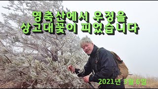 영남알프스 영축산에 상고대 꽃이 피었습니다. 우정과 추억을 쌓다(with 이환진) 통도사 함박등