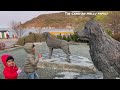 welcome to newfoundland a visit to harbourside park in st johns.nl canada the canadian mallu family