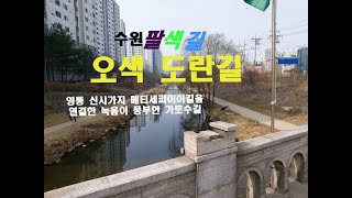 수원팔색길 도란길을 걷다!!