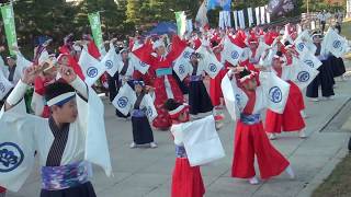 草加ふささら祭り'17 W F会場 よさこい・そうか連+天空しなと屋 しん   しなと屋正調