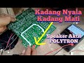 Kadang Nyala Kadang Mati Speaker Aktif Polytron