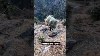 Hard life of Uttarakhand farmers