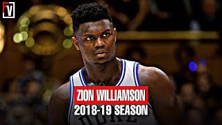 Zion Williamson Duke  Freshmen Season Highlights Montage 2018-19 -22.6 PPG, 8.9