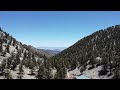 schulman grove in ancient bristlecone pine forest