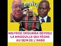 Wilfried Okoumba sort les dossiers sombres de l’anbg