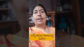 ఎన్నో ఔషధ గుణాలున్న పుదీనా. #gardening #ytshorts #viral