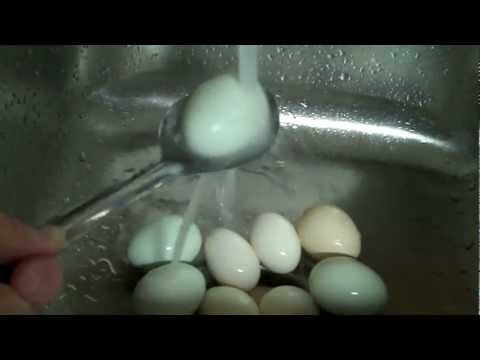Crock Pot Hard Boiled Eggs Crock Pot Hard Boiled Eggs