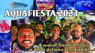 මිලියන ගාණක මාලු ... !! 💥 AQUAFIESTA 2023 ... 😍🐟🇱🇰