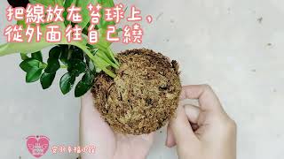 植感苔球作法-綁製重點有文字解說，可先看完影片後再進行製作^^