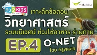 วิชาวิทยาศาสตร์ EP.4 ตอน ระบบนิเวศน์และห่วงโซ่อาหาร  by ติว2KIDS