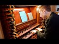 FESTIVE INTRADA - Cathedral Acoustics in St. Peter & Paul Waltrop - SAUER ORGAN (II/41) - PAUL FEY