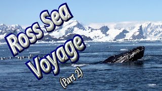 🚢 Voyage to Ross Sea in Deepest Antarctica (Part 2) 🐳
