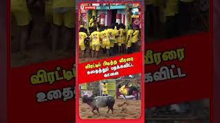 விரட்டிப் பிடித்த வீரரை உதைத்துப் பறக்கவிட்ட காளை | Palamedu Jallikattu 2025