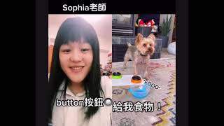 按鈕的英文 Button｜狗狗會講話｜生活美語｜Sophia老師