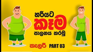 How To Count Macros? (sinhala)මහා‌පෝෂක ගණනය කරමු