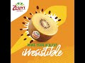 kiwifruit can be green or yellow zespri™ sungold™