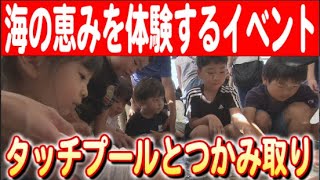 【魚と遊びながら学ぶ！】讃岐おさかなフェス2024の魅力 日本財団 海と日本PROJECT in かがわ 2024 #16