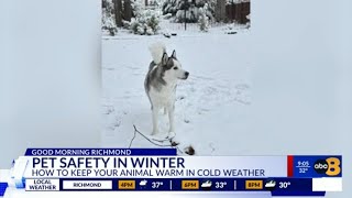 ASPCA urges pet owners to take extra precautions as winter weather continues
