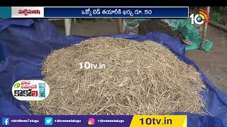 పాల పుట్టగొడుగులు పెంచే విధానం | How to grow Milky Mushrooms | Matti Manishi | 10TV News