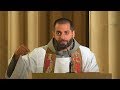 From the Rosary to the Immaculate Heart of Mary: Sermon by Fr Serafino Lanzetta.  A Day With Mary