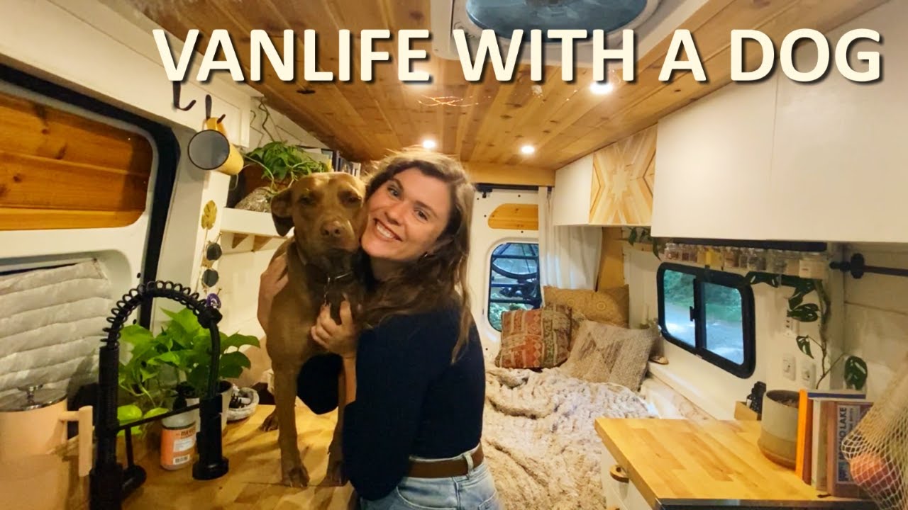 Vanlife With A Dog Tips And Tricks Idog Cat