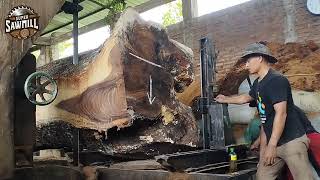 From Log to Lumber: Witness the Power of a Giant Sawmill