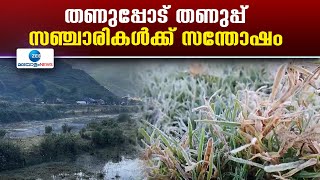 Munnar Cold Wave | ഫെബ്രുവരി മാസം പകുതിയോടടുത്തിട്ടും തണുപ്പ് വിട്ടുമാറാതെ മൂന്നാര്‍