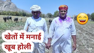 चरागाह में -गाय भैंस चराते हुये मनाई होली।Cow Buffalo Grazing|farming guru ji.