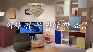 여길 왜 이제 왔지🫢 에잇컬러스에서 만난 컬러풀한 가구 \u0026 인테리어 팁