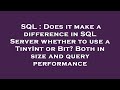 SQL : Does it make a difference in SQL Server whether to use a TinyInt or Bit? Both in size and quer