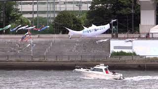 警戒船も見物に来た！　　隅田川テラス　鯉のぼり　巨大マグロのぼり　白鬚橋　隅田川　2021　5.03　東白鬚公園の横