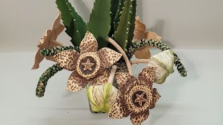 STAPELIA VARIEGATA o Flor de Lagarto en FOAMI (SIN MOLDE), atrévete a realizarla