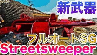 【COD:BOCW】新武器フルオートショットガンのStreetsweeper