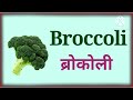 vegetables vegetables name in english and marathi भाज्यांची नावे इंग्रजी व मराठी